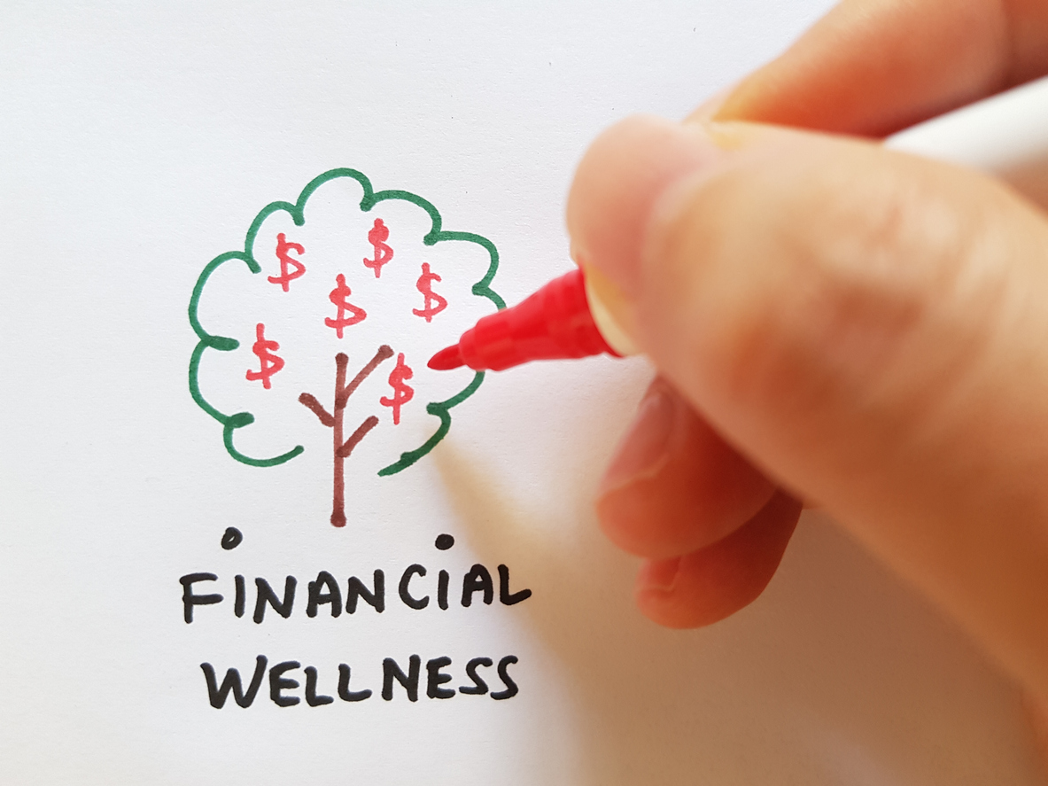 Inclusive financial wellness program